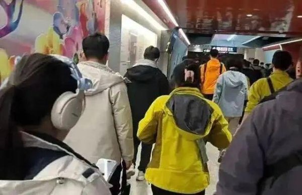 嘉正网 300起步的「县城鸟」，被中产抢疯了