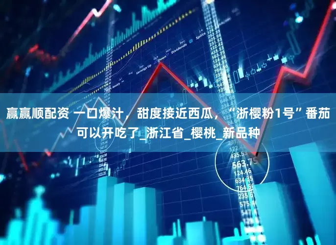 赢赢顺配资 一口爆汁，甜度接近西瓜，“浙樱粉1号”番茄可以开吃了_浙江省_樱桃_新品种