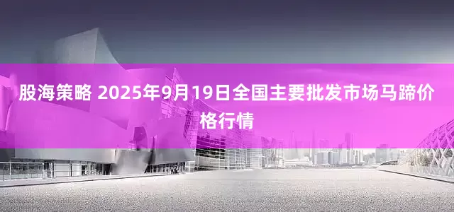 股海策略 2025年9月19日全国主要批发市场马蹄价格行情